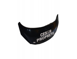 10ecdcc205a573a83285514a094e2e53