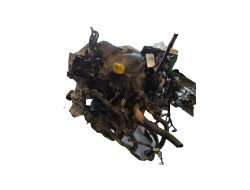 057fd9ae969cc70fb36e13acfab99496