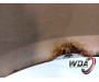 761be01e69aa4ddb7cfeb85afd94eb98