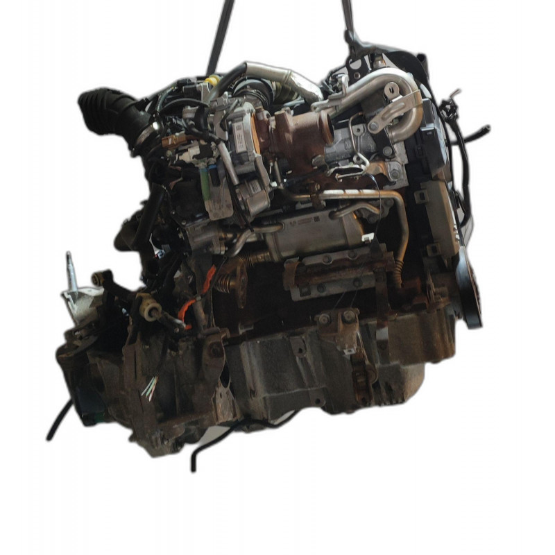 31c64d01f79e3976c810d39eb5c1655f