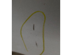 01682b27583abdf41147613ec831cd3b