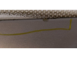 6f09eaed0d94a6e46d5abe66905be99c