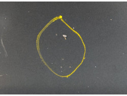 42793c981e2a52770751a3dc5e7d63dd