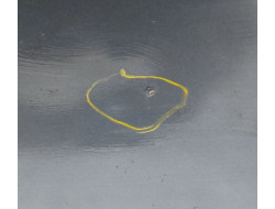 c77d2282098a06c43478dacc768e4537