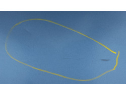 689af6c559db4c8a7a312f223153f601