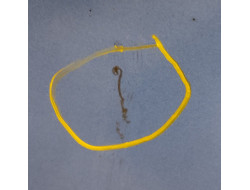 f1c5894b88cbe7a69822ad727563a60d