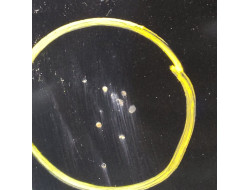 93908ce3b75b1149a2f56692cfe9144d