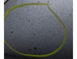 88efd3b9e1ee73f5a86a36281c67168b