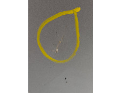 666cdccfd5755d096a98b7d8e3cc2913