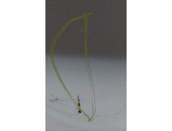 a7e208b1ead34352954edeb12da0535a