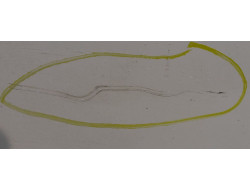 a7e624b63d04269f84db9d528d13c62f