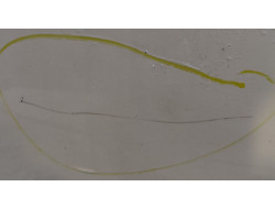 2798a97990cafbb8284cf8ac0f68629a