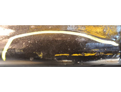 7c608ccd4e550deb31c99c267c65e6a7