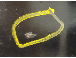 8aebaa265106277296d2867721c4c462