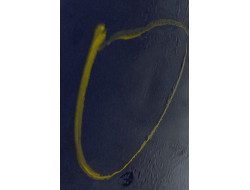 7cc25fe10212e76d58293ea7b7f4227e