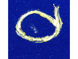 c53f17b53fe70b191158cb5c817fee13