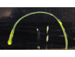 830162f2b6cbff2508c195b382646414