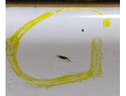 d77520b9ac9b75c743aca2b4695aa906