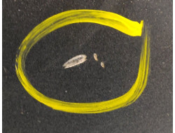 bef908410e208c7ff75186b935746bb7