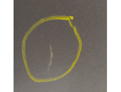 ce071b15058cdd9a653b6f684e1b42e4