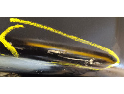 bcb81b04050294970c3d91cd37f29dce