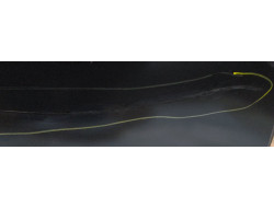 d21365c9a2ef4a27459eab68a7897504