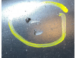 8ec483ebaf8c534161e7a73d175b7380