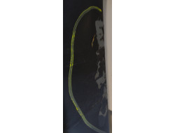 f474fc418b4aff70cad57136ef556946