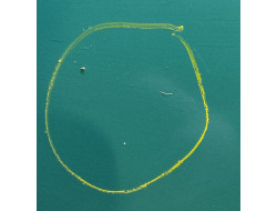 7618e0d4033a5706d0ebd4b4bfe9df6b