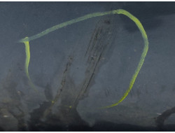 39de34a4c97ad74aaee66bda56866c48