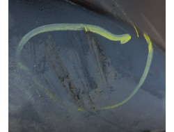 4d3a652dcde8e583f64ad58d852f048d