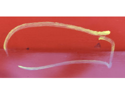 8e995cef03e1994b3df522e1c2ca33c7