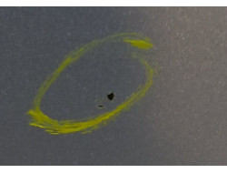 0359a9342555fe08c24342b6c9fbc851