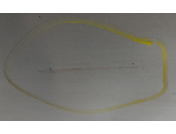 b21b938bd1507e84ec5ca12369075e78