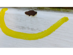 dd12546cc5a2e3a2664e4e04179d6c21