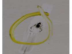 06dde5287f35689614dcae6d0af54690