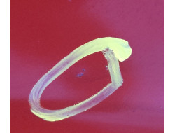 54af951de7bcb26120a057f4ff49580d