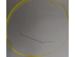 029e4a7eb6e8a1118d06d1f886a36fc9