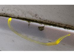 6f8e6571a41034261811bd90b6bbc5de