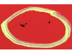 05d369c198698930aad929c0a34a867d