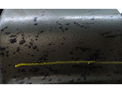 876e08a7b5847ef870825197f2516616