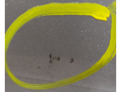 87f8d6ab065c74bd12a14c3ed5438629