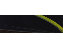 df8bd9a582a0134fb24fb630d6096650