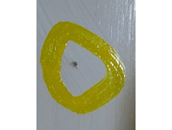 982167233d970f728f4237c3a69a49e6