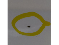 88a164fb769529265e588f4e77dd4ae2