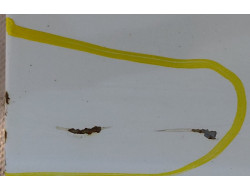 b9d651176914c45e4ea6086f22667094