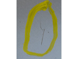 769048034ee2eb98d887aa0de52c2734