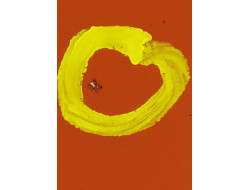 53318c8f7554a41d74d6d1c3045c3b6a