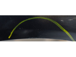 b320b0070df152b5ecead6cb0d41235b