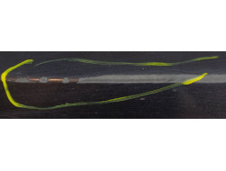 d078d4a9b1089303d71468fe2664e742